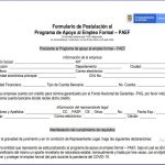 Formulario de Postulación al Programa de Apoyo al Empleo Formal – PAEF.