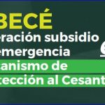 ABECÉ Operación subsidio de emergencia.- Mecanismo de Protección al Cesante.