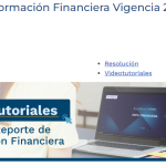 Superintendencia de Vigilancia, reporte de Información Financiera Vigencia 2021.
