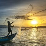 El Objeto de esta ley es proteger la integridad, el mínimo vital y la sostenibilidad socioeconómica del pescador artesanal comercial y de subsistencia.