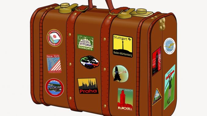 Vintage luggage clipart, travel illustration